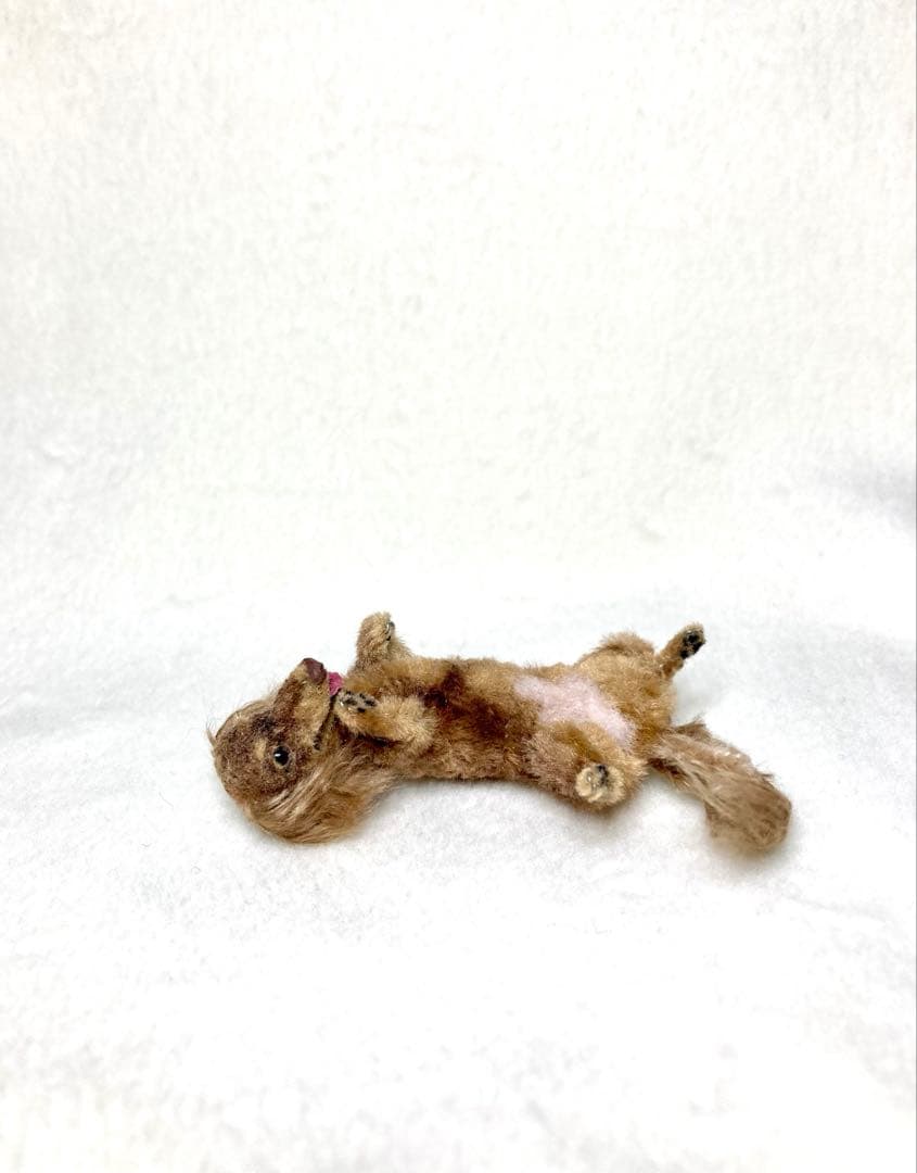 モールアート☆ミニダックス☆へそてん