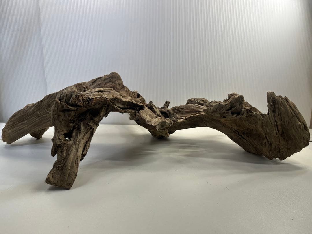 m77大型流木 アク抜き済み 爬虫類シェルター レイアウト用 インテリア 登り木