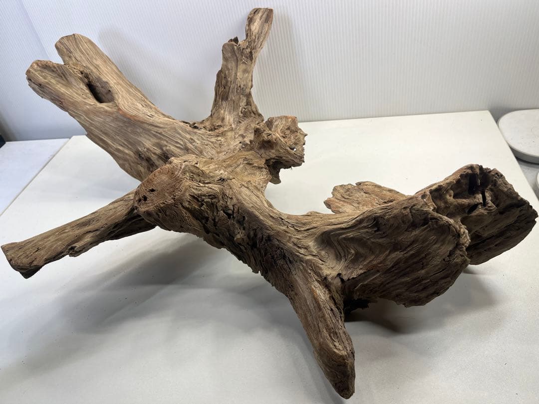 m77大型流木 アク抜き済み 爬虫類シェルター レイアウト用 インテリア 登り木