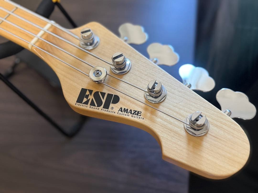 【キルトメイプル】ESP AMAZE-CTM QM【弦交換セットアップ済】