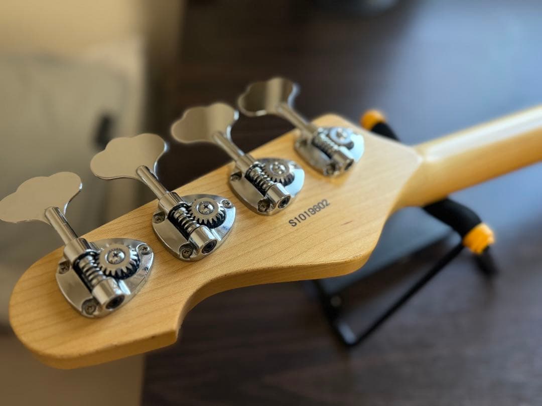 【キルトメイプル】ESP AMAZE-CTM QM【弦交換セットアップ済】