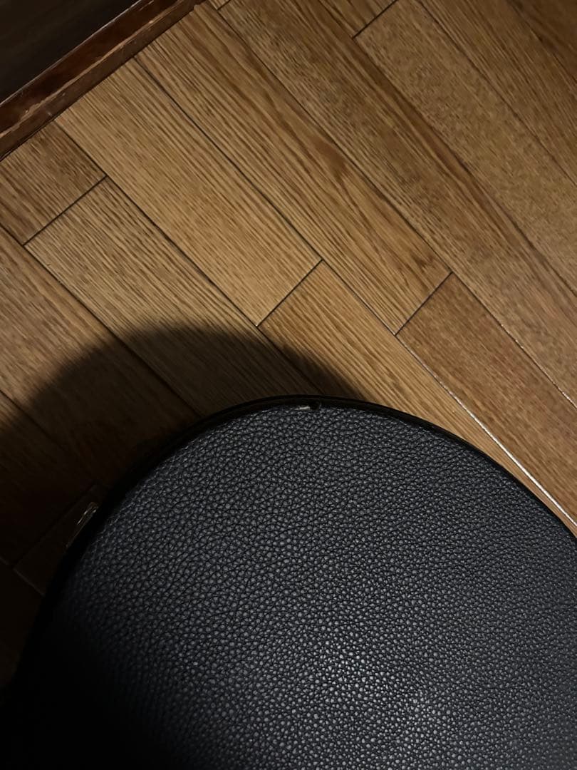 しまうま専用　prs se hollowbody Ⅱ