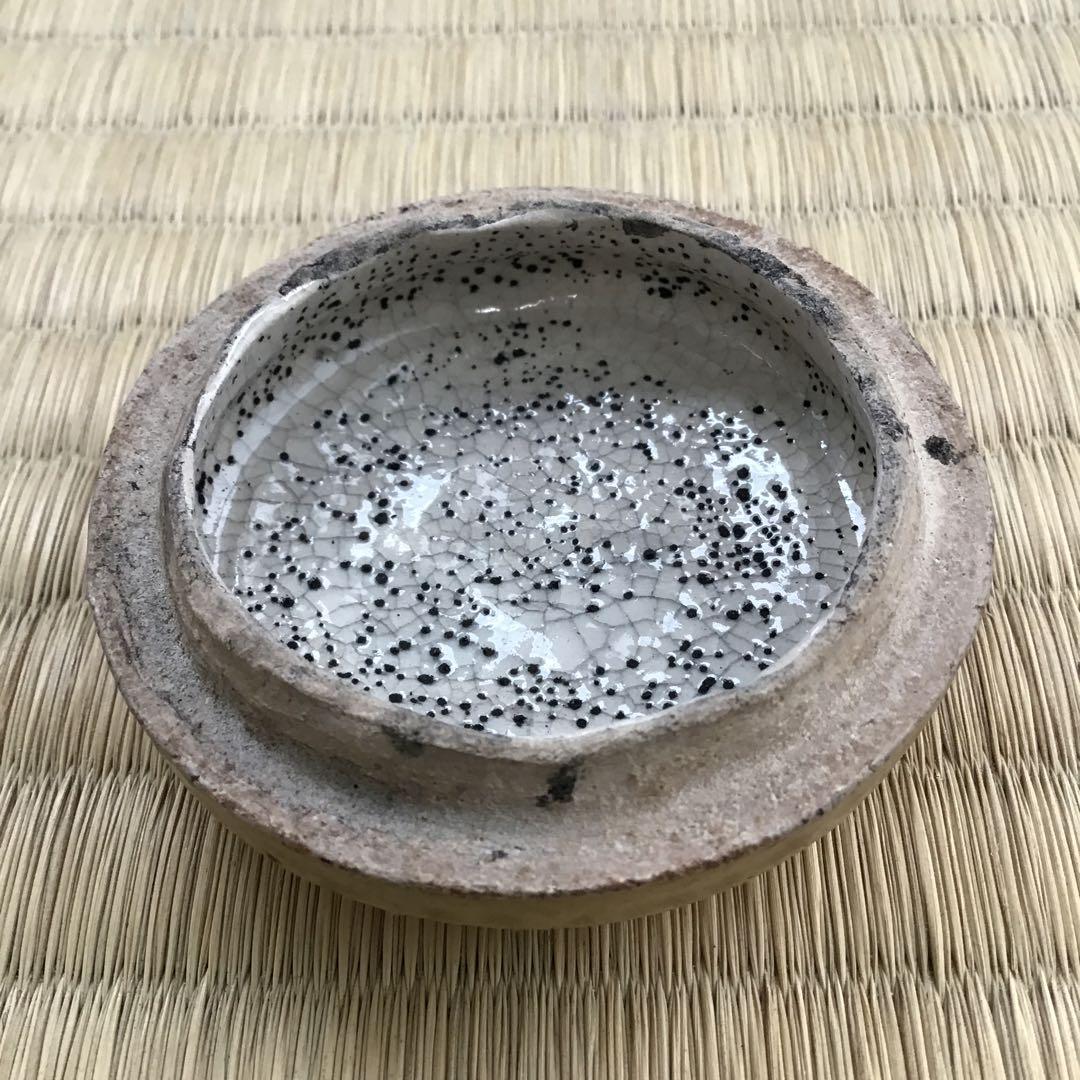 茶道具　香合　黄瀬戸干支巳香合　洞窯十五世　水野家康作　共箱　S77KGA