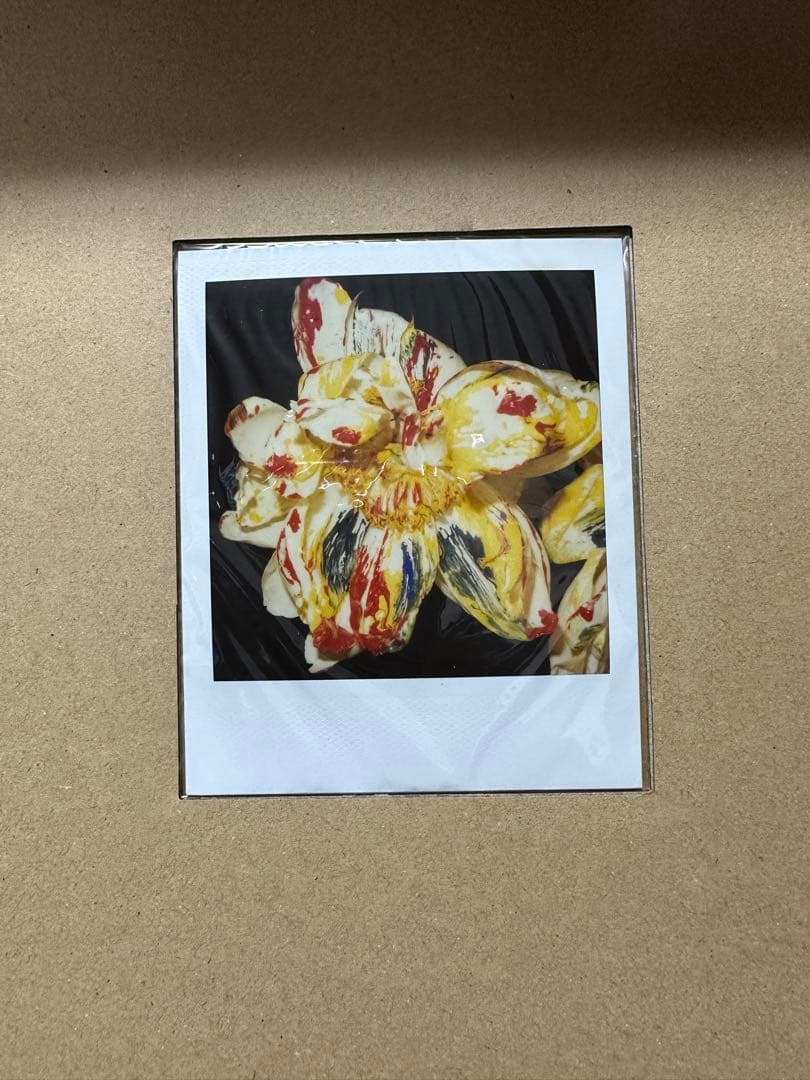 荒木経惟　月光写真　ポラロイド付き限定版