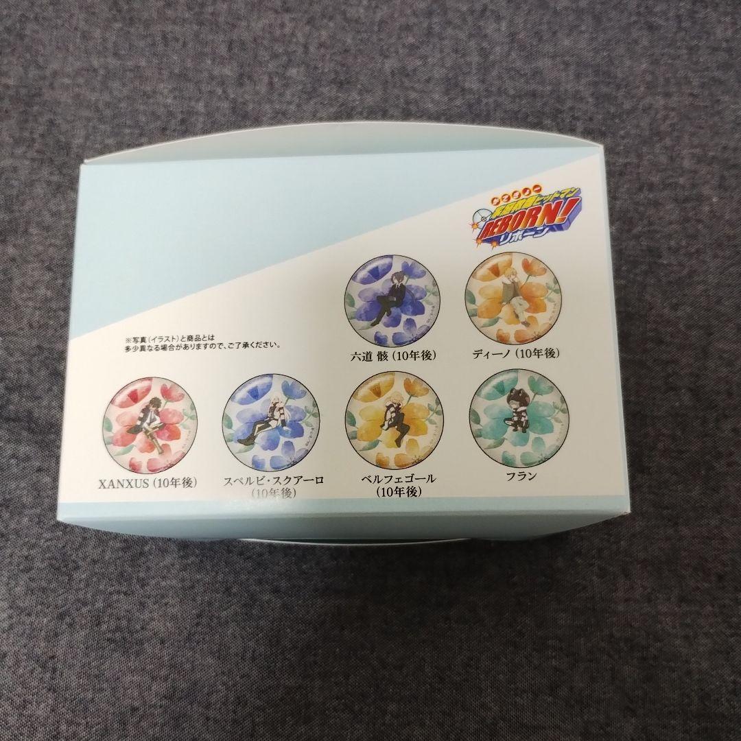 家庭教師ヒットマンREBORN!　botania 缶バッジ　カードステッカー