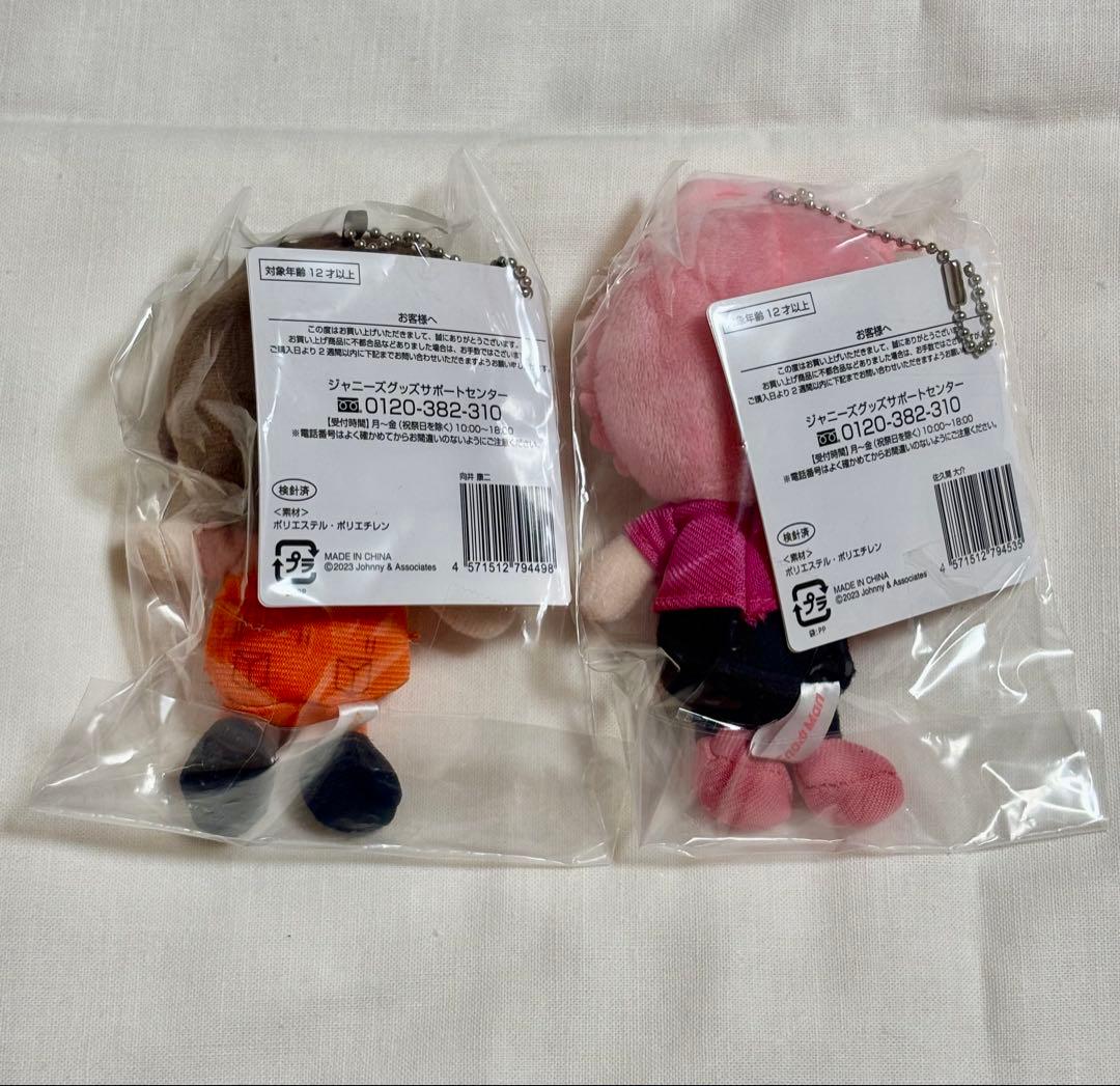 向井康二 佐久間大介