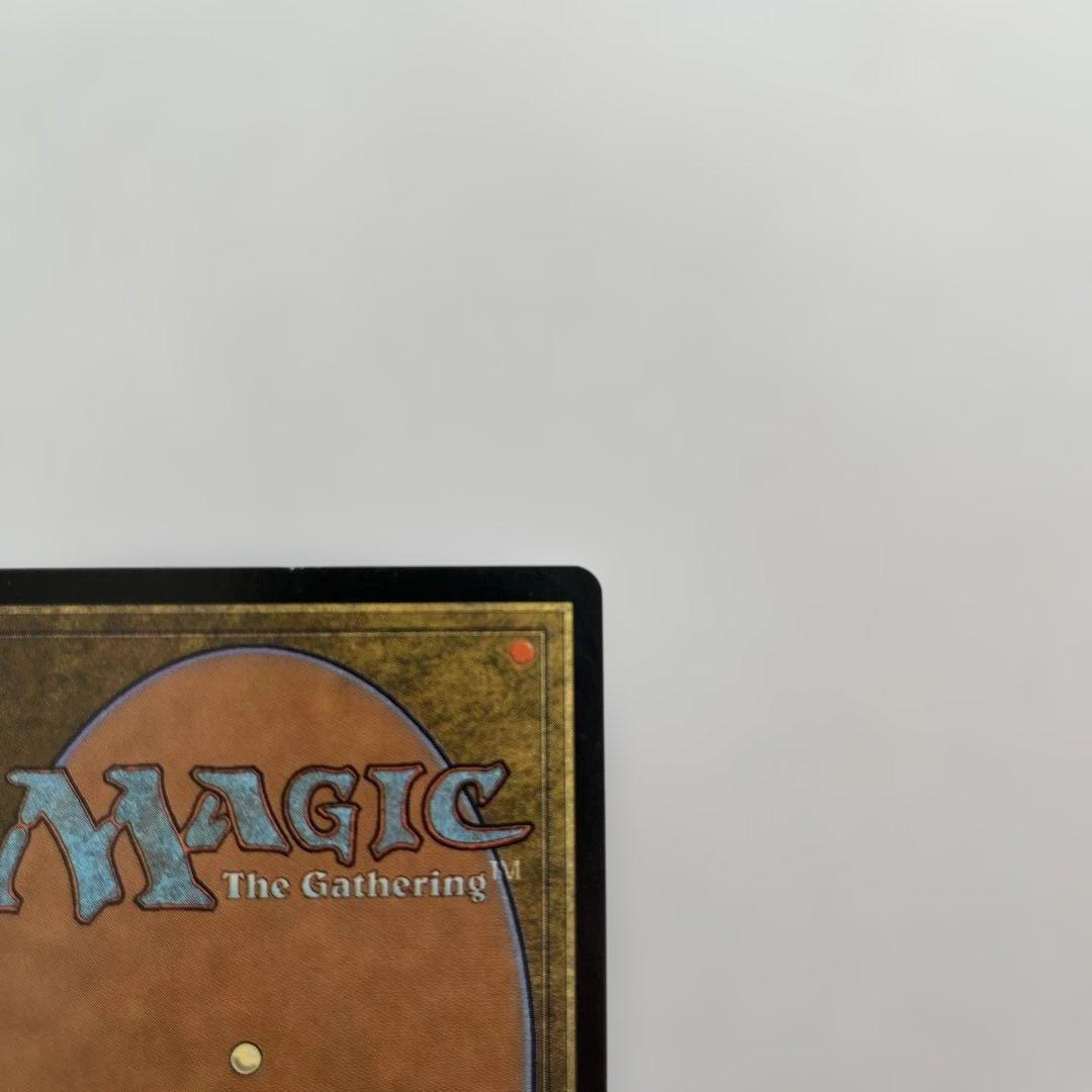 迫害　FOIL 日本語　マジックザギャザリング　MTG