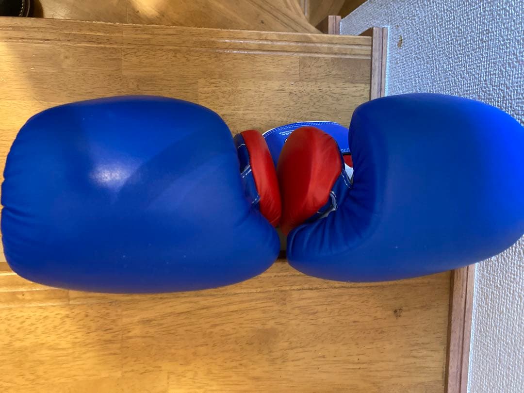 プライズリングボクシンググローブ12oz
