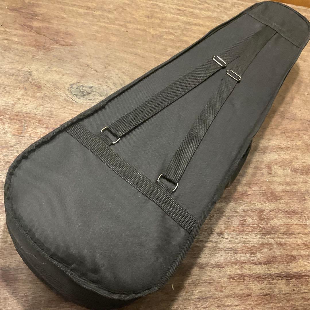 極美品！ ENNBOM エレキ バイオリン 4/4 初心者セット ヴァイオリン