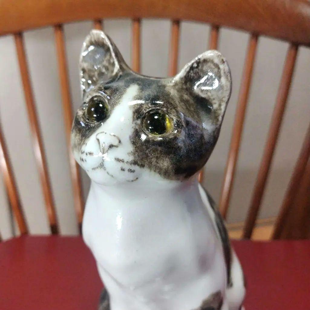 ウィンスタンレイキャット（ケンジントンキャット）ハチワレの子猫、サイズ3