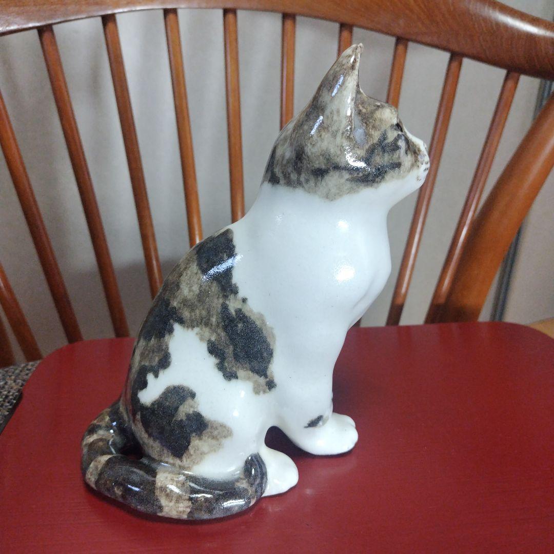 ウィンスタンレイキャット（ケンジントンキャット）ハチワレの子猫、サイズ3