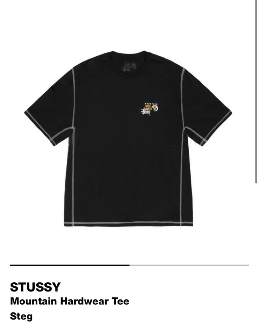 Stussy x Mountain Hardwear Mサイズ
