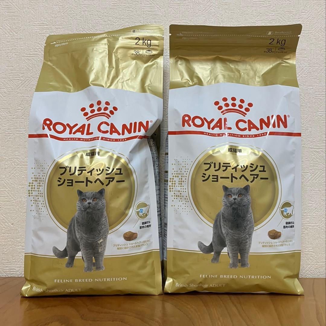 ロイヤルカナン　ブリティッシュショートヘア