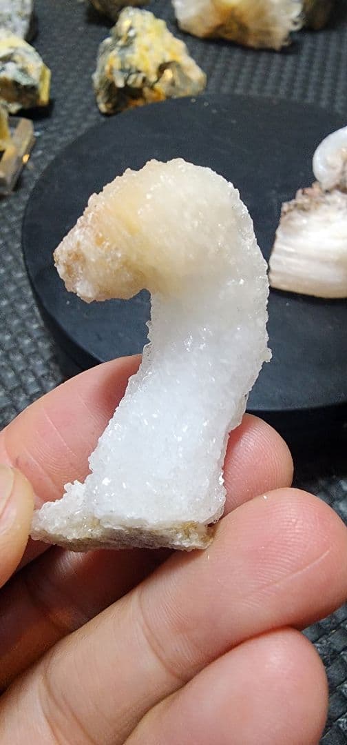 レア●蛍光羊の角セレナイト標本　２セット