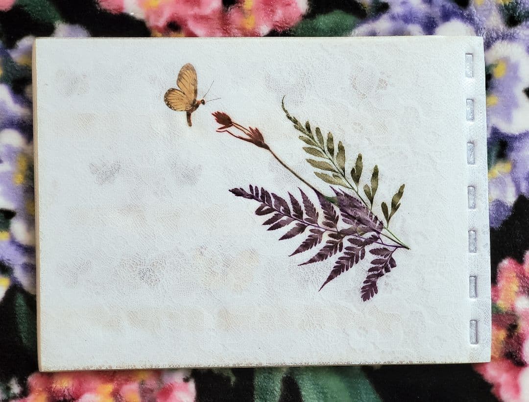 【1960年代当時物】☆蝶類標本☆『台湾産蝴蝶2/2』☆本物の蝶を100頭収録☆