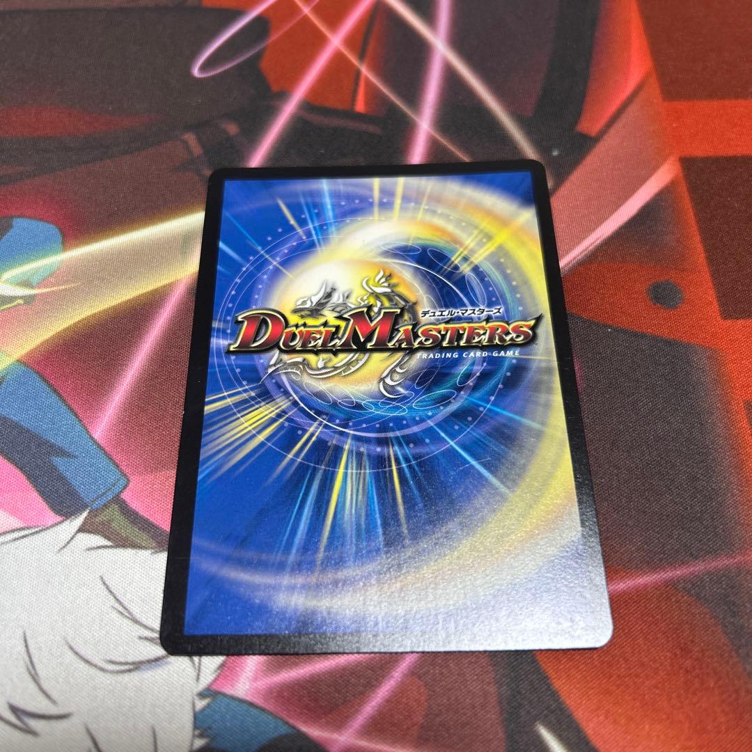 シャコガイル　b