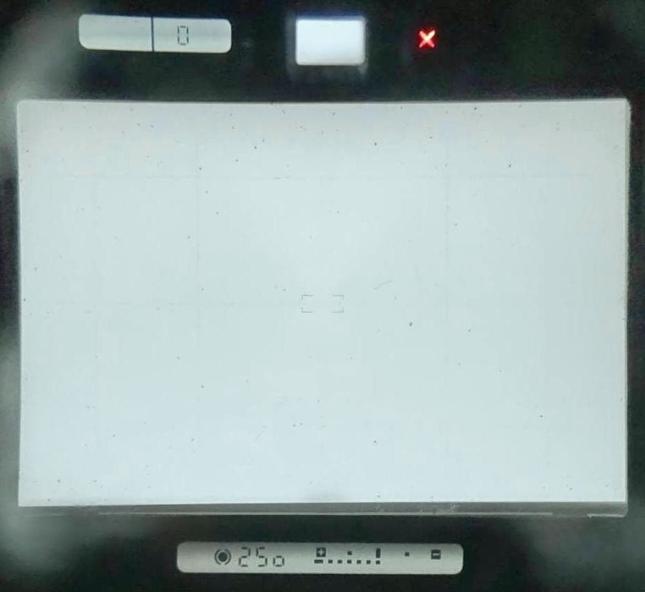 Nikon F4S 一眼レフカメラ MB-21付き 露出OK 液晶漏れなし 後期