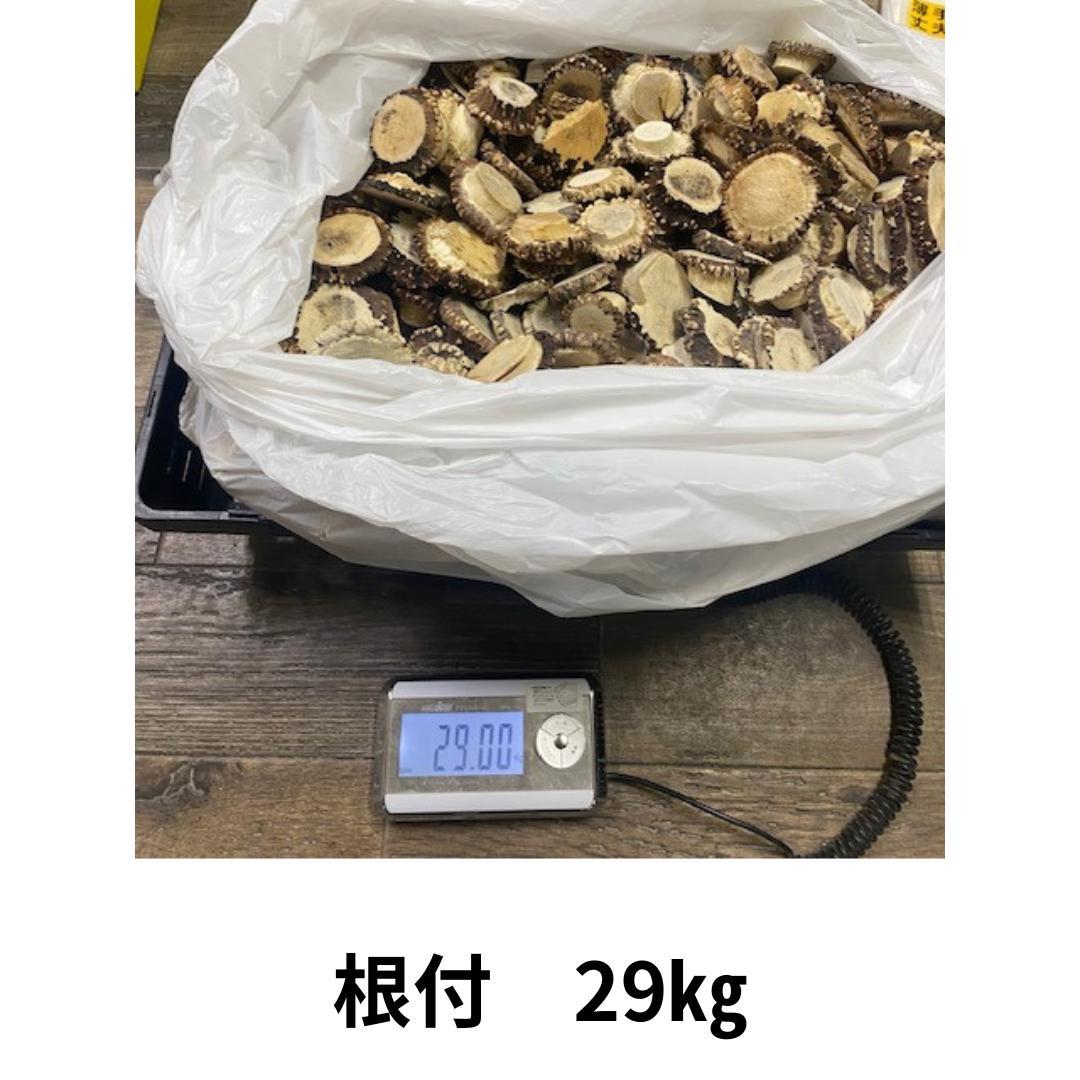 北海道産シカ角おやつ 29kg　（根付）