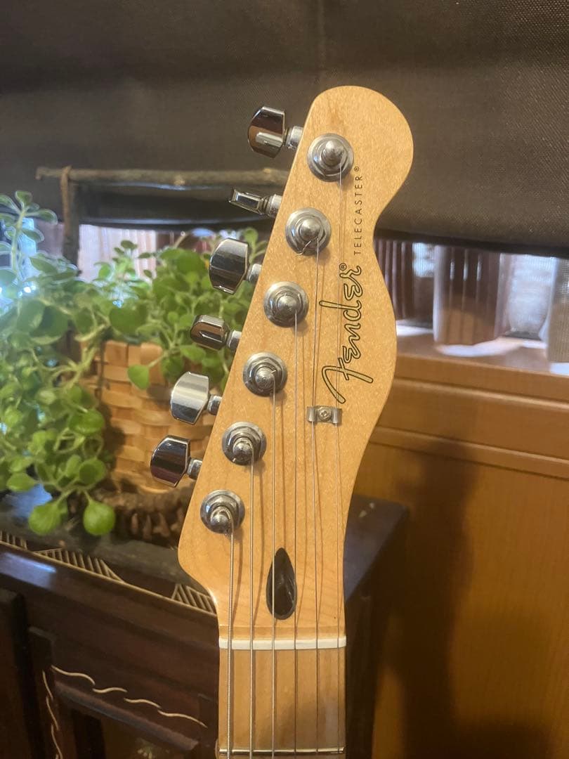 Fender Telecaster Player series ブルー