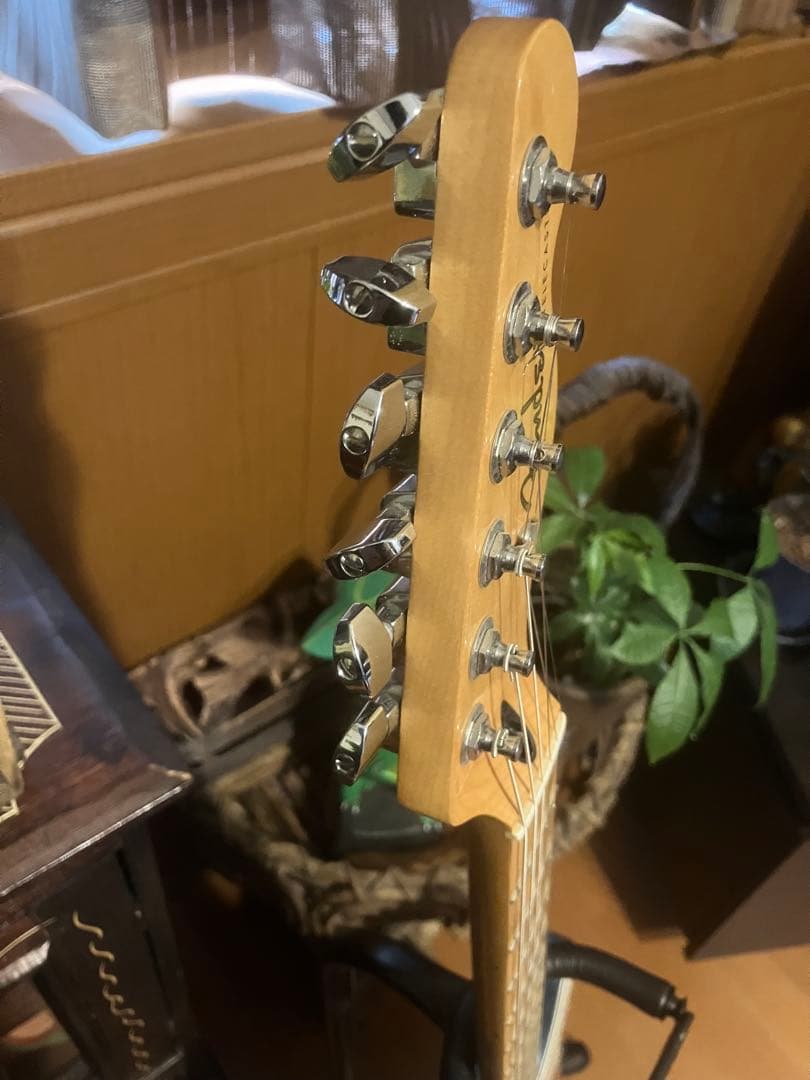 Fender Telecaster Player series ブルー