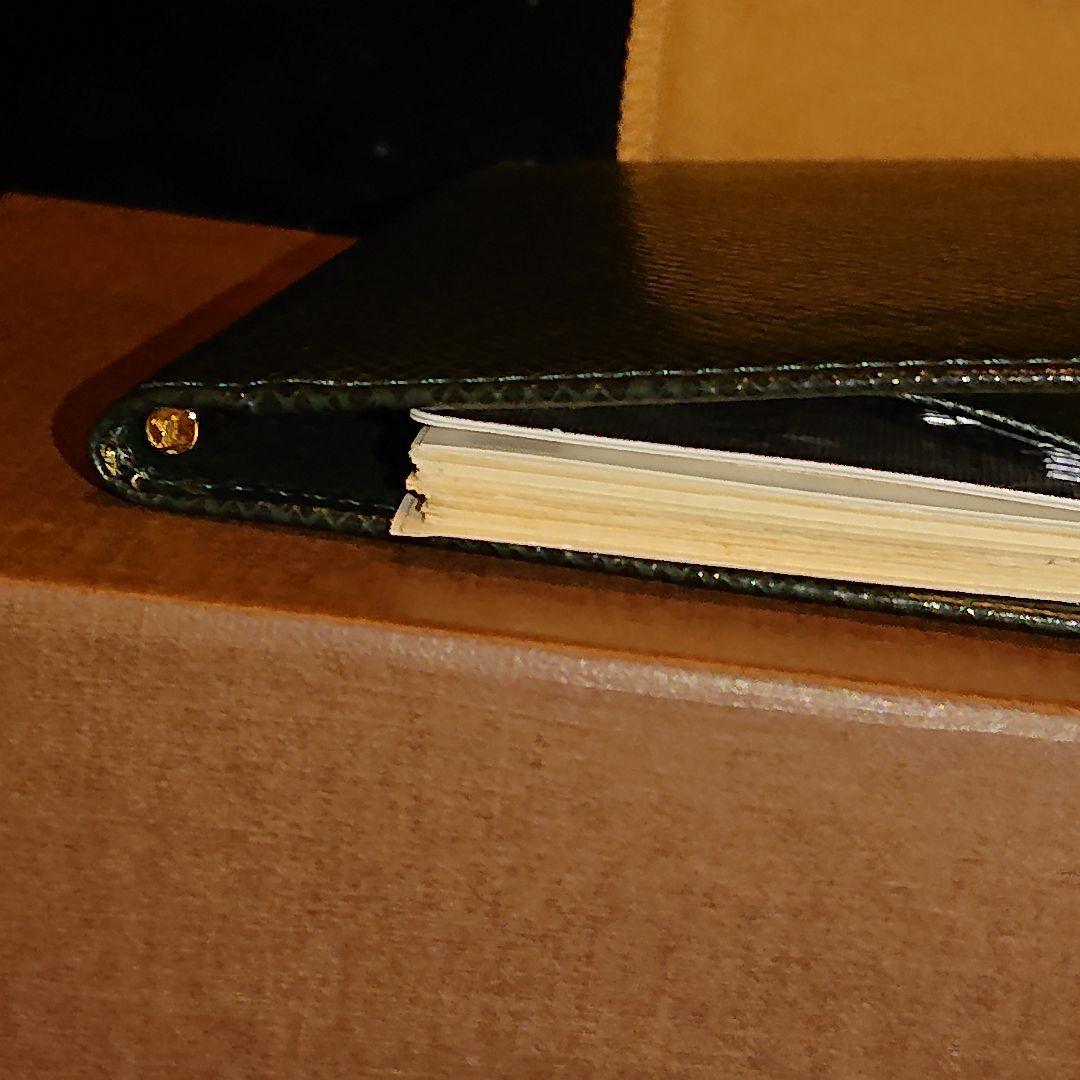 ルイヴィトン 　エピ　【名刺・オーガナイザー入れ】