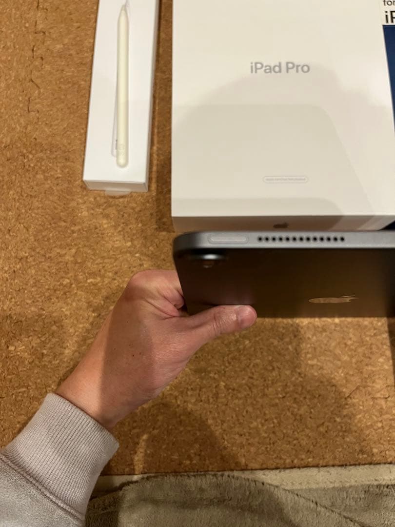 虎*鉄様 iPad Pro 11インチApple Pencil純正　セット　動作