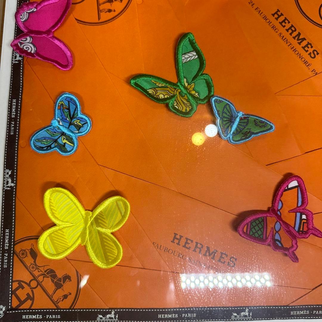 エルメス　ステファンウィルソン　アートパネル