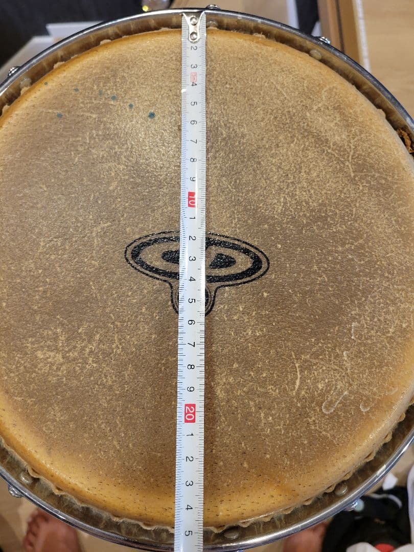 最終値引き！CPコンガ 　2本セット