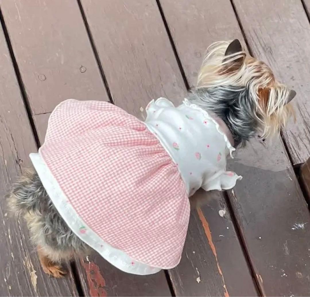 ハンドメイド犬服　お袖フリルのエプロンドレス　ピンク苺ちゃん★お袖変更可能