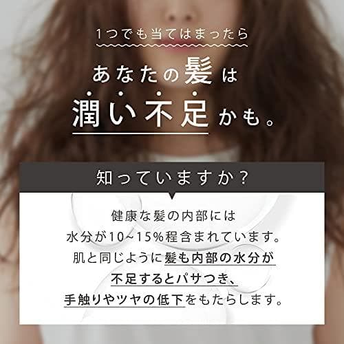 SALONIA トリートメントミスト ドライヤー セラム 4個セット 新品未開封