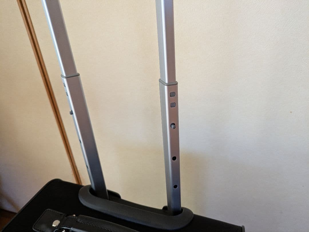 ✩ace✩ソフトキャリーグリッテリー