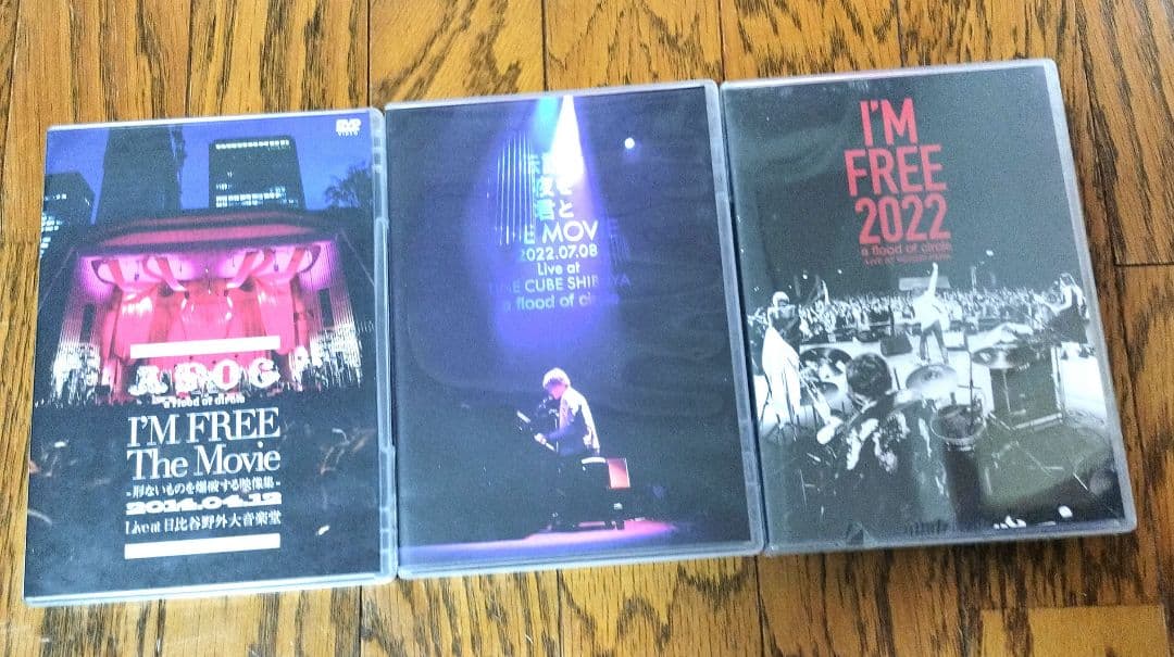 a flood of circle DVD3点 Tシャツ