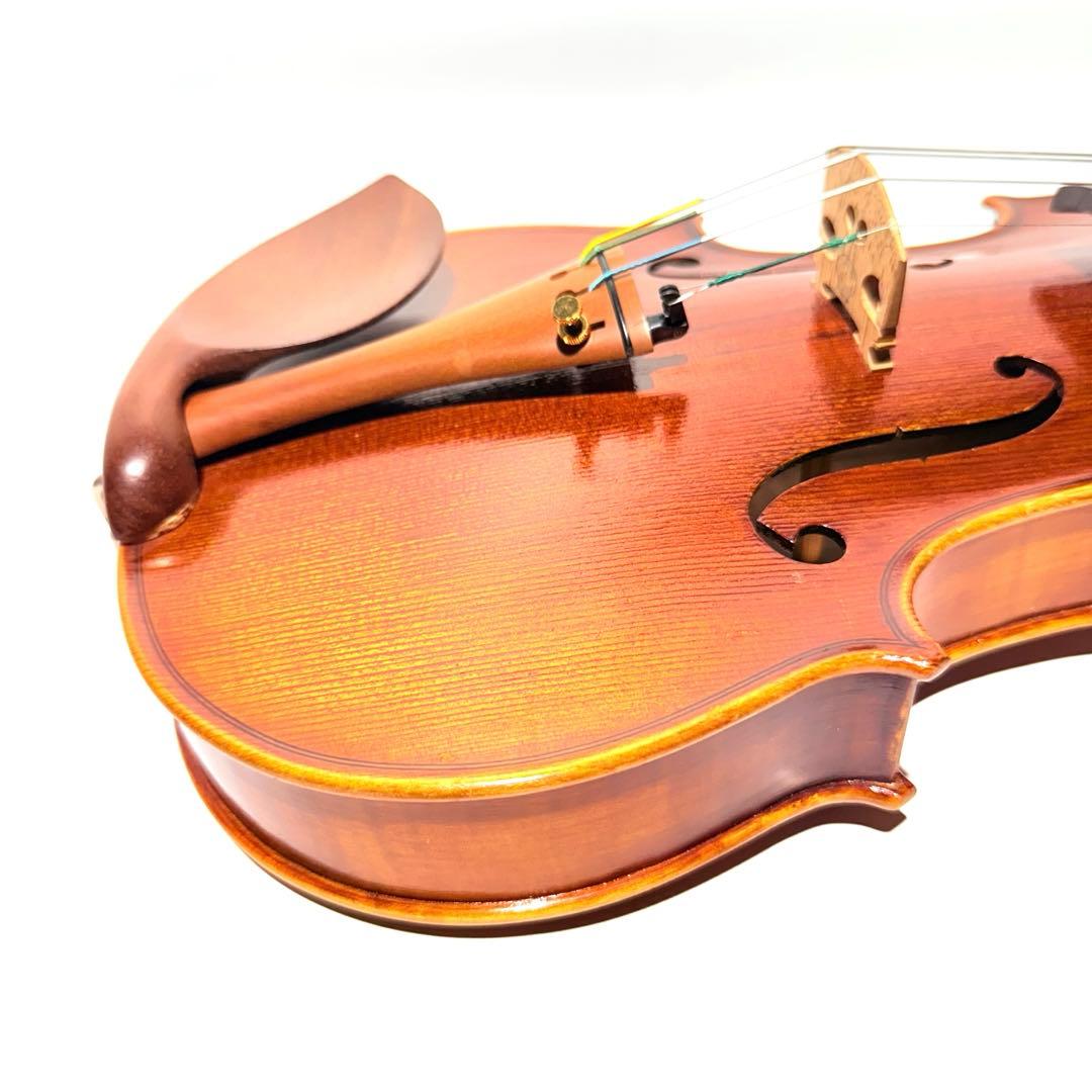 マンモス Pygmalius Derius Giappones 4/4