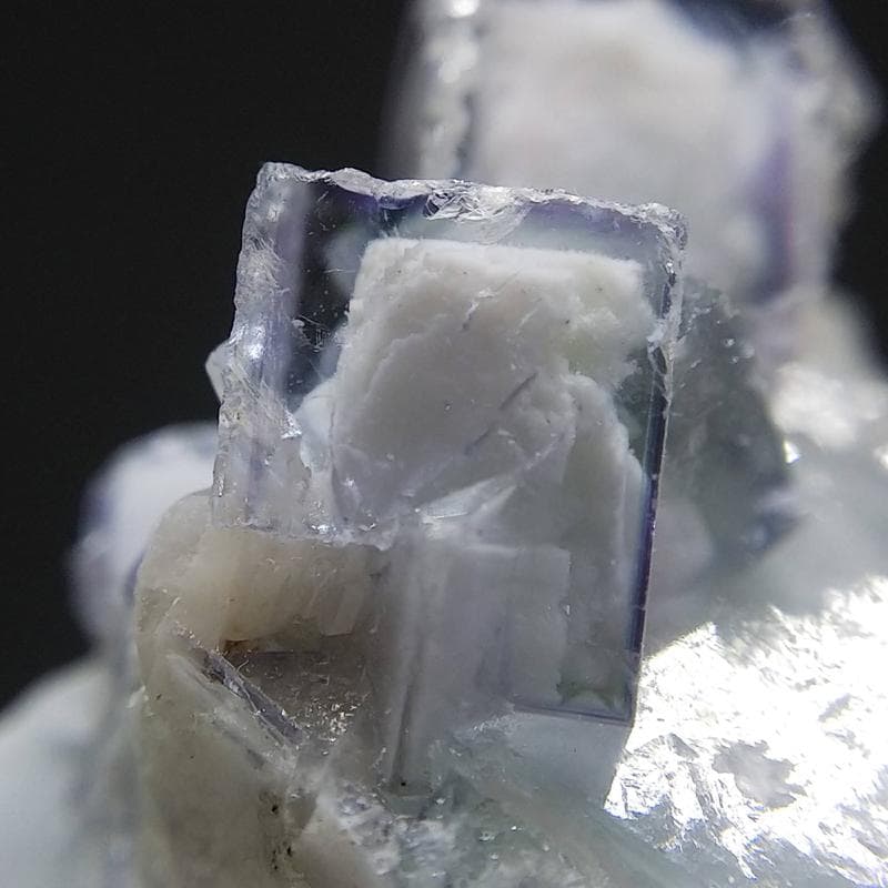 329 ポーセリンフローライト