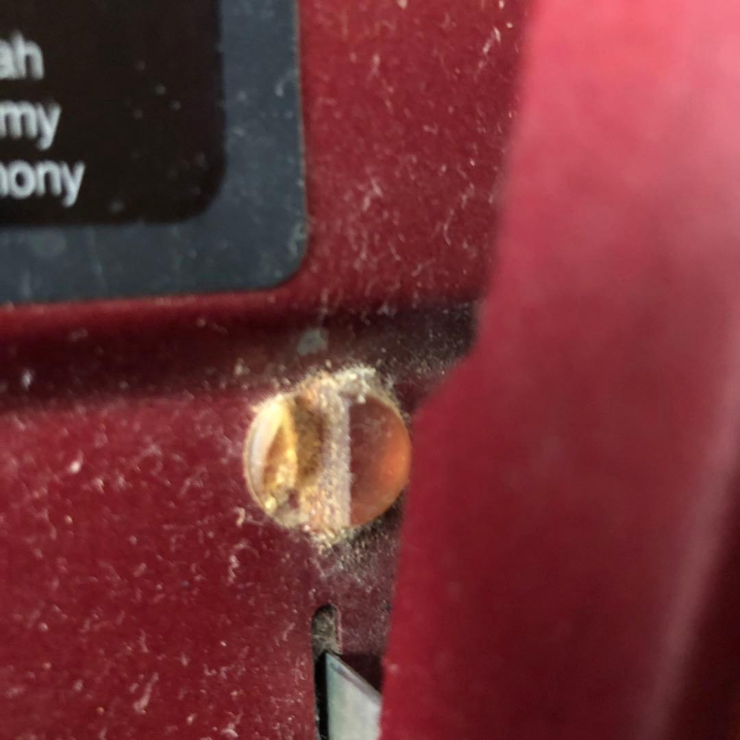 DigiTech XP-100 ギターエフェクター　ワーミー　ワウペダ