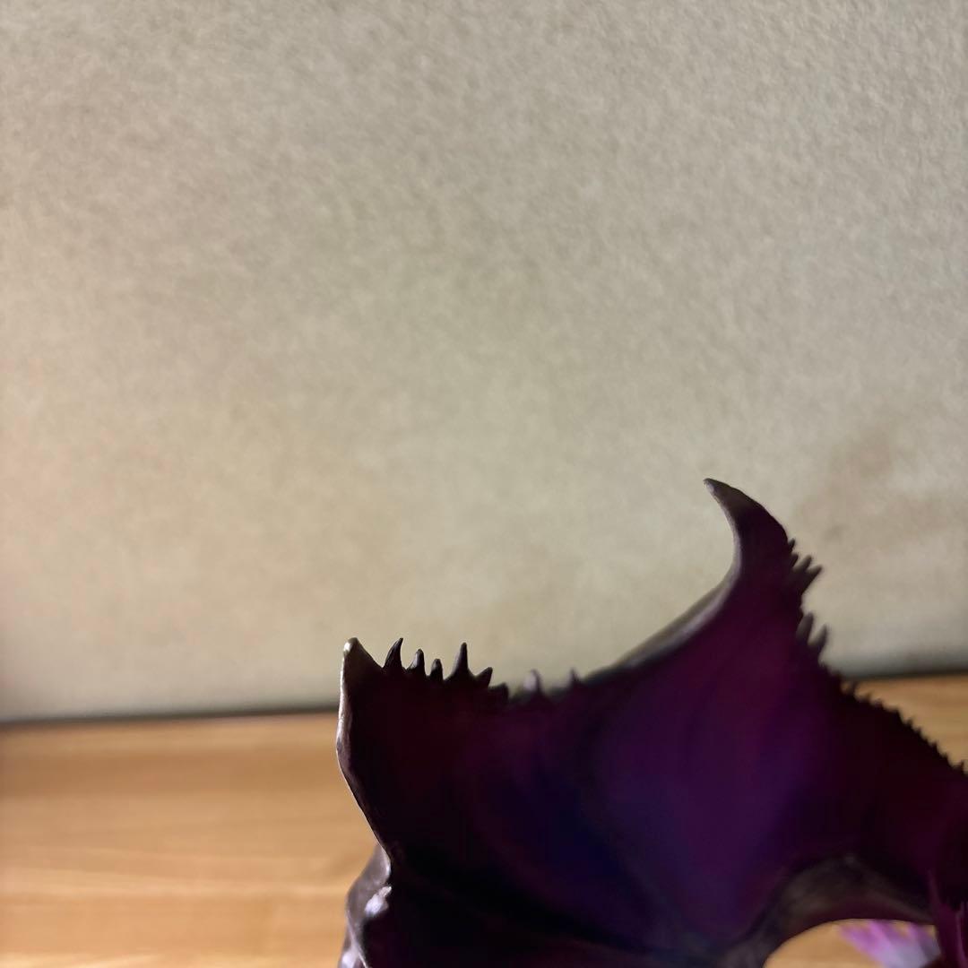 【中古】フィギュア　モンスターハンター　メルゼナ