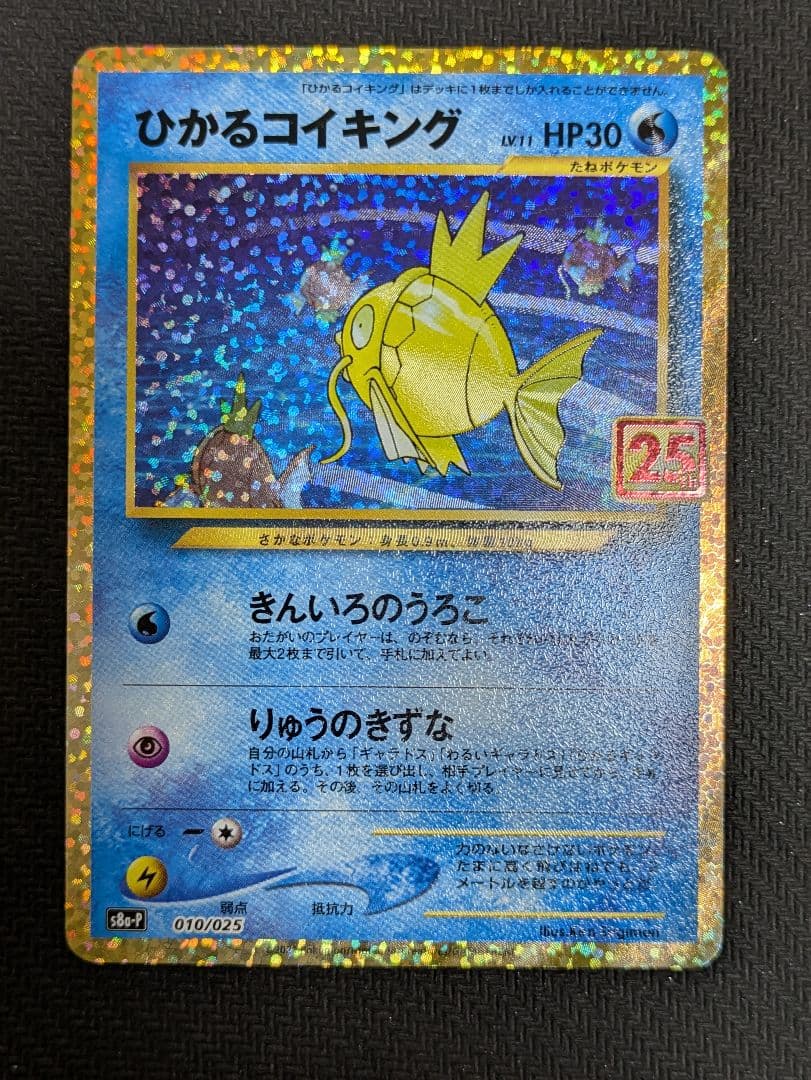 ひかるコイキング　25th