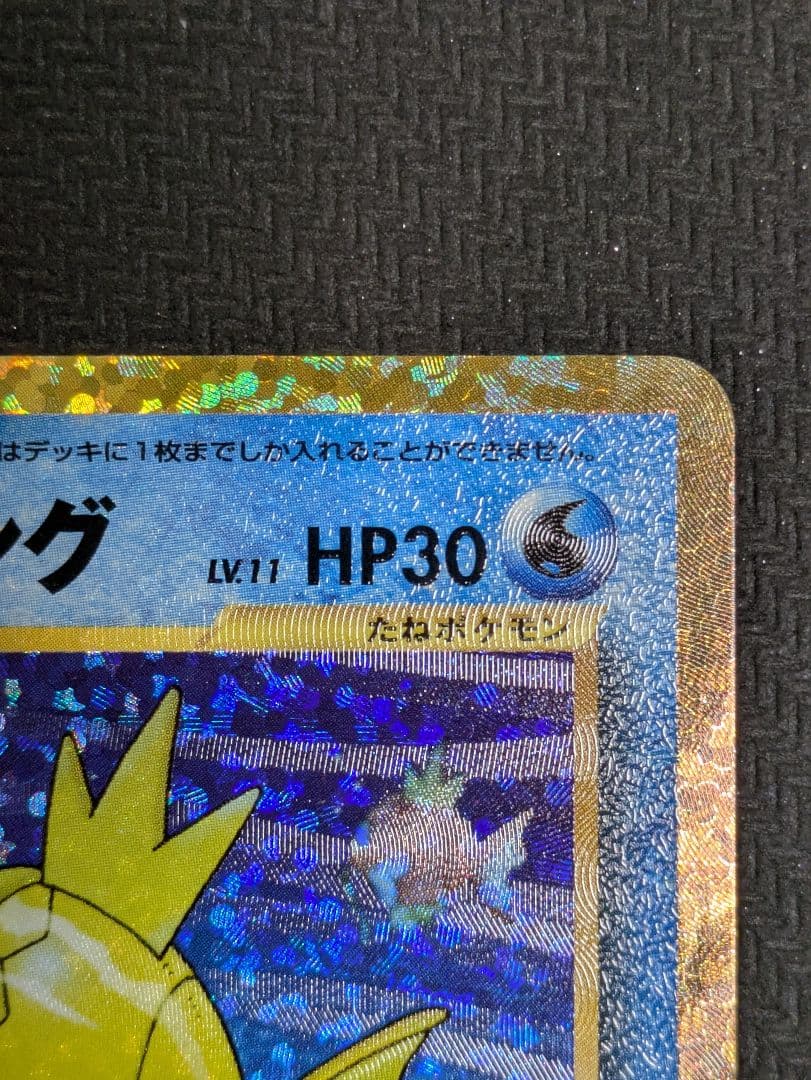 ひかるコイキング　25th