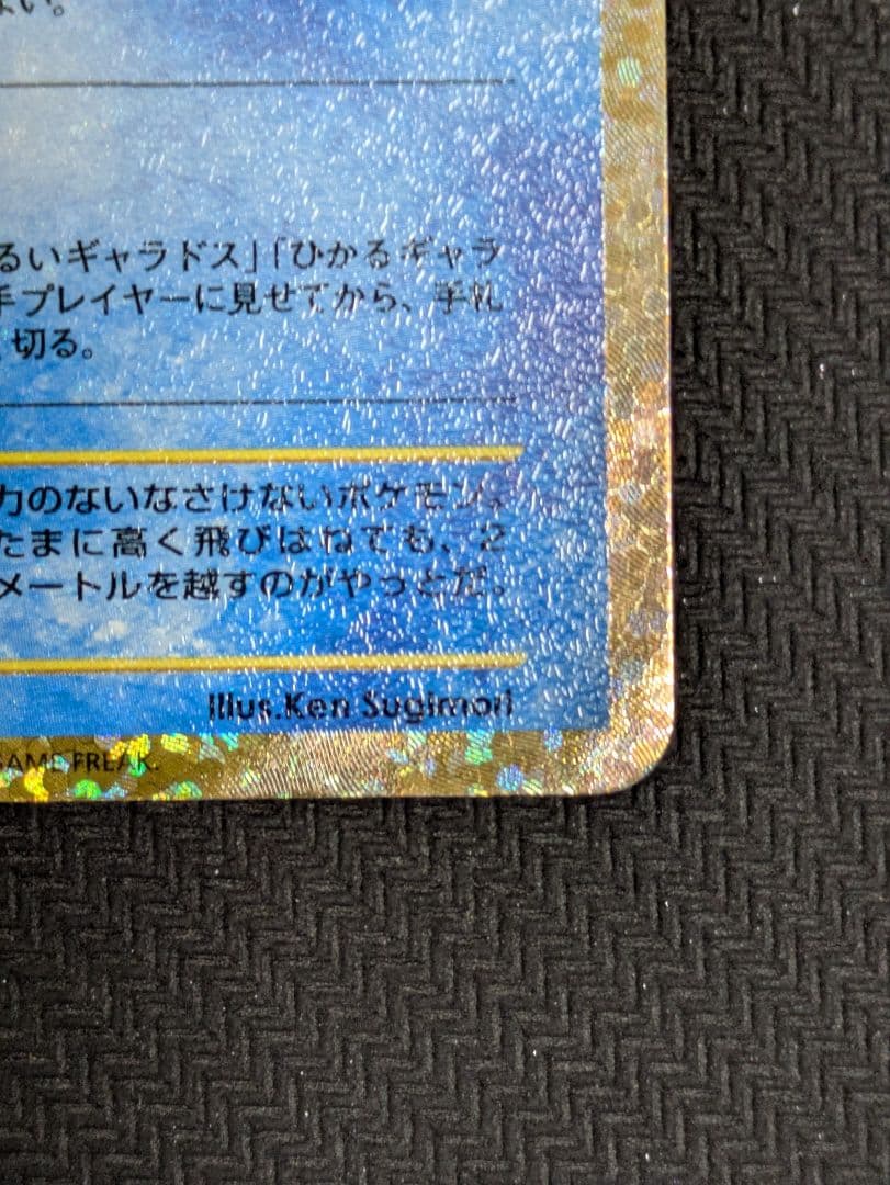 ひかるコイキング　25th