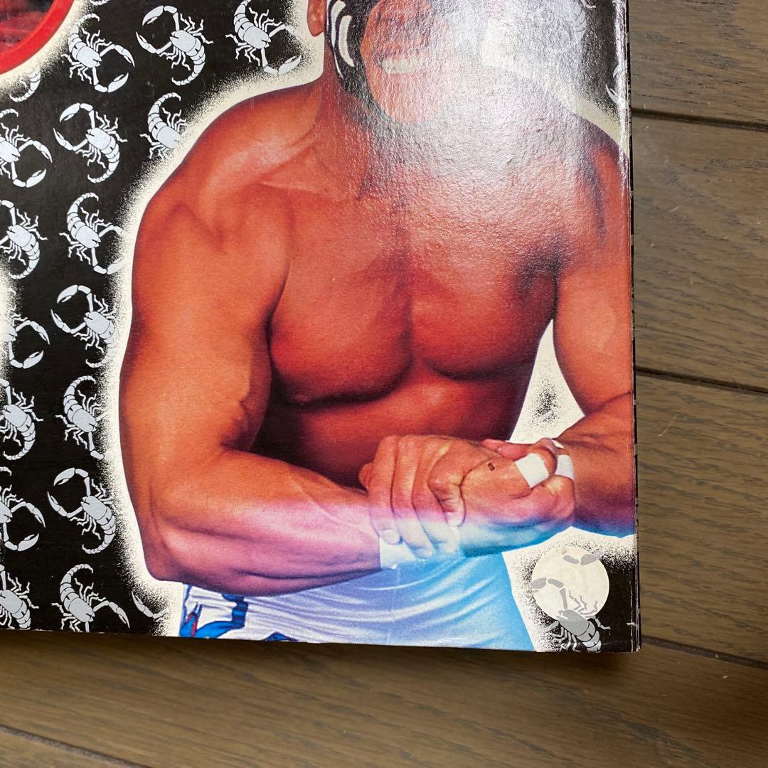 スティング　STING プロレス　WCW時代　輸入版　WWE