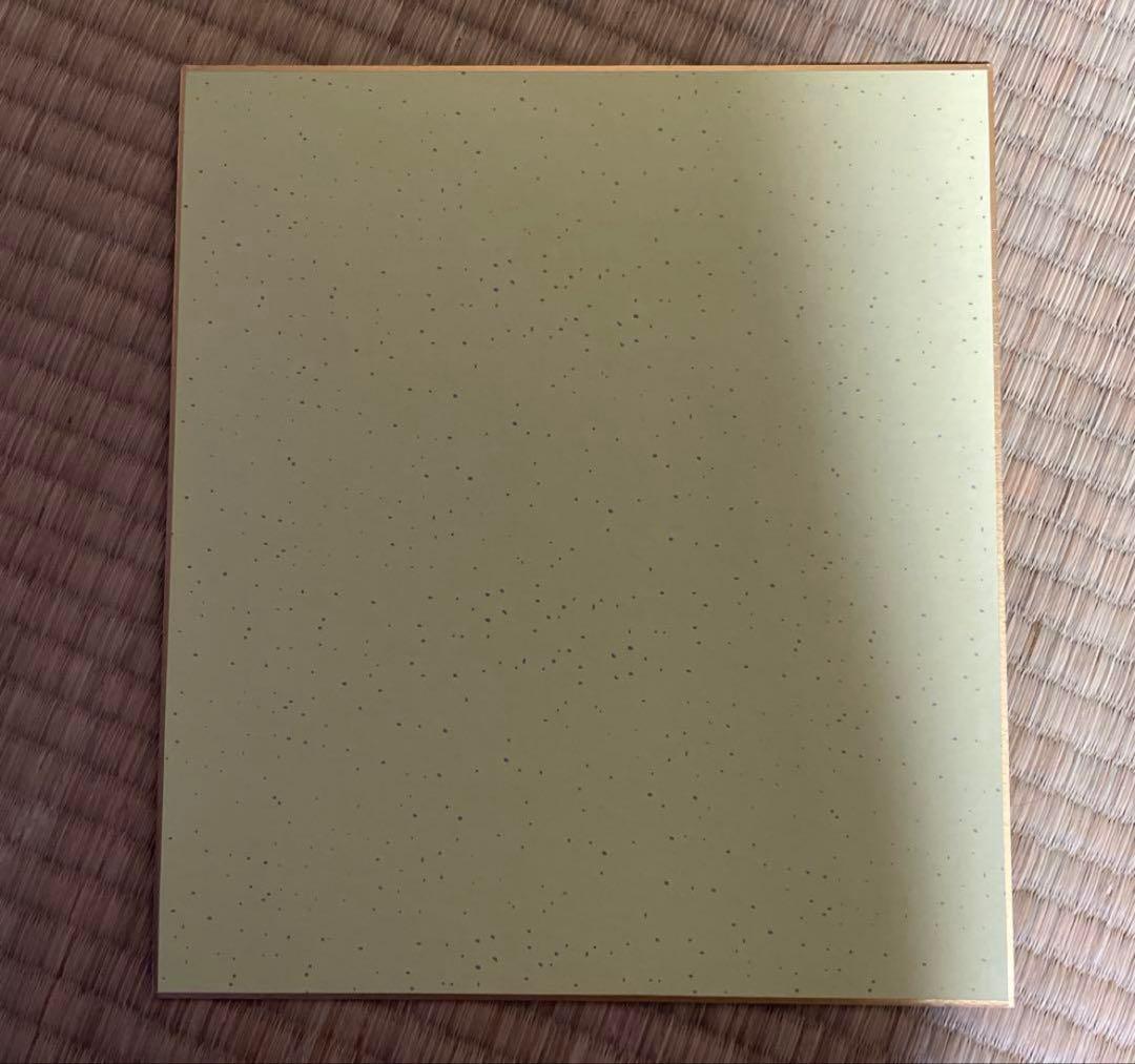 【激レア直筆】青山剛昌 灰原哀 サイン色紙 名探偵コナン