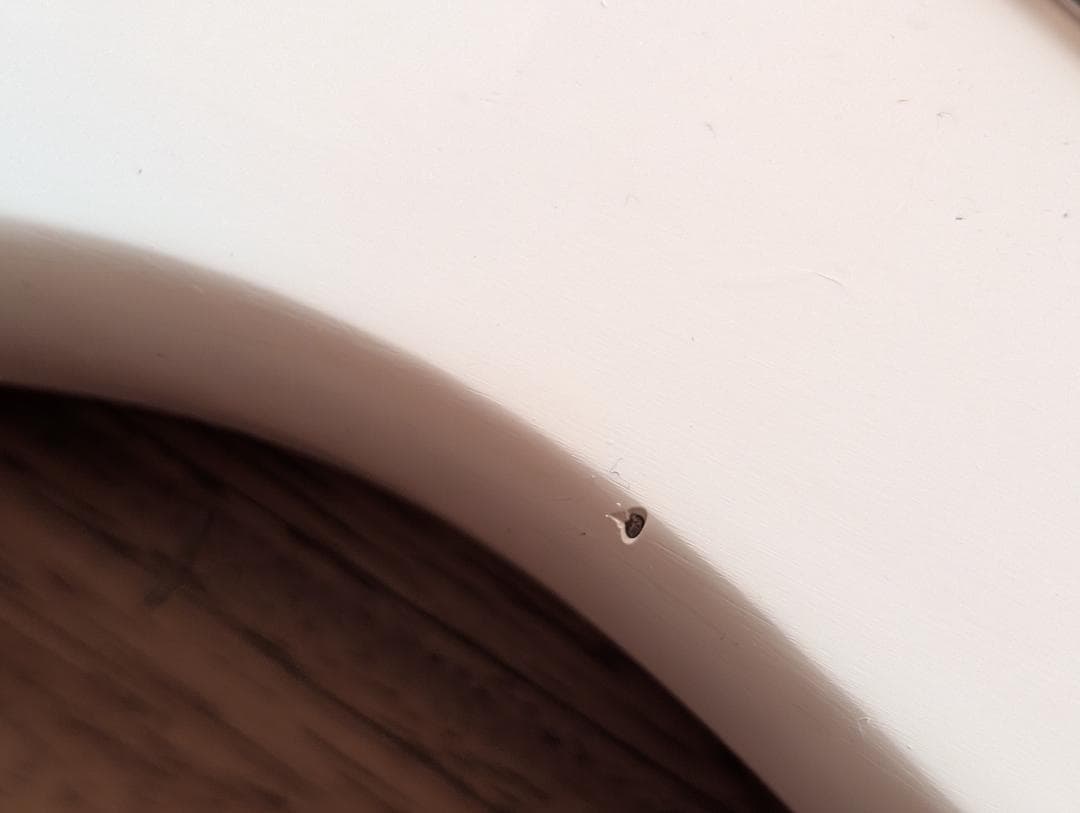 fender mexico ストラト　ボディ