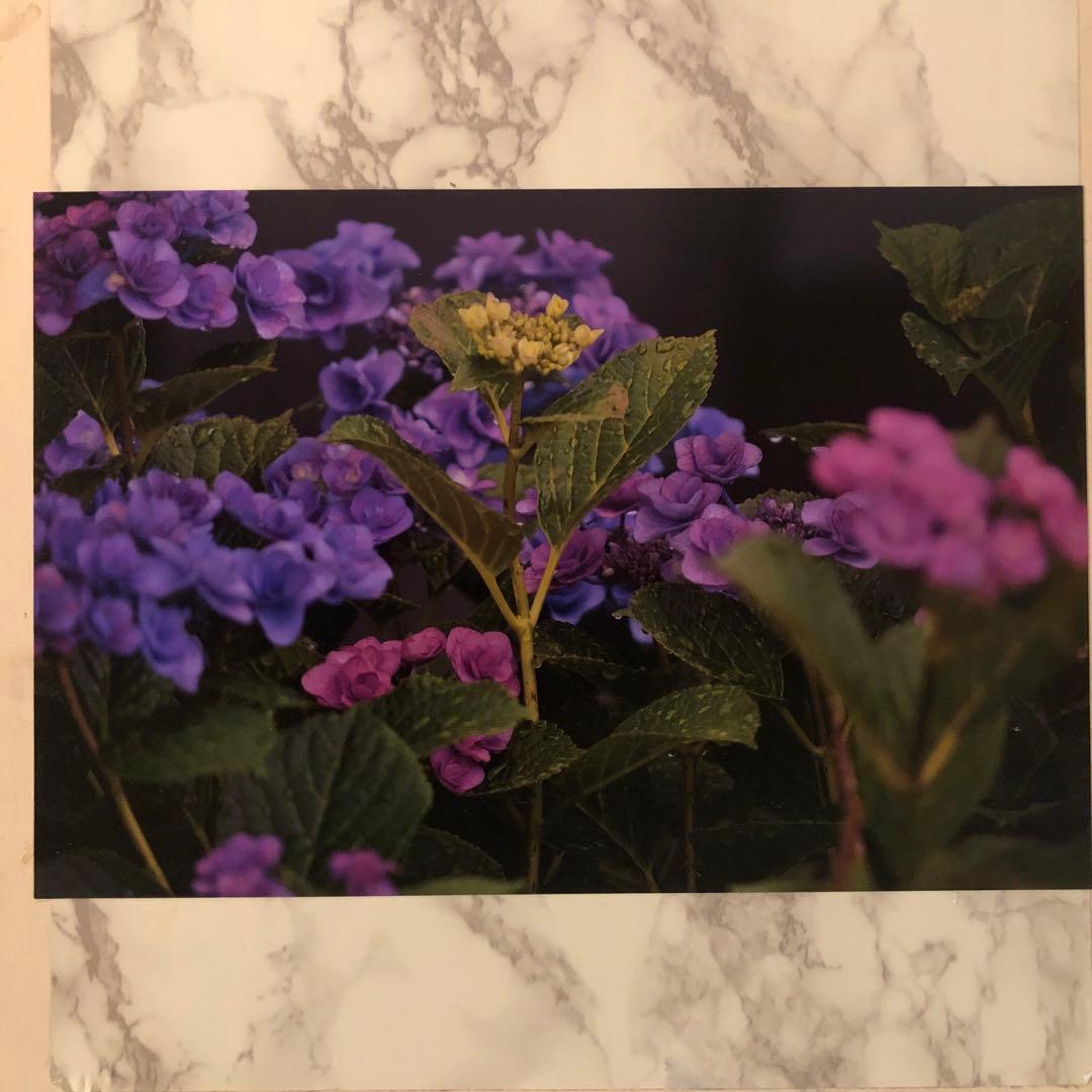 写真家　宮下利光の写真になります。