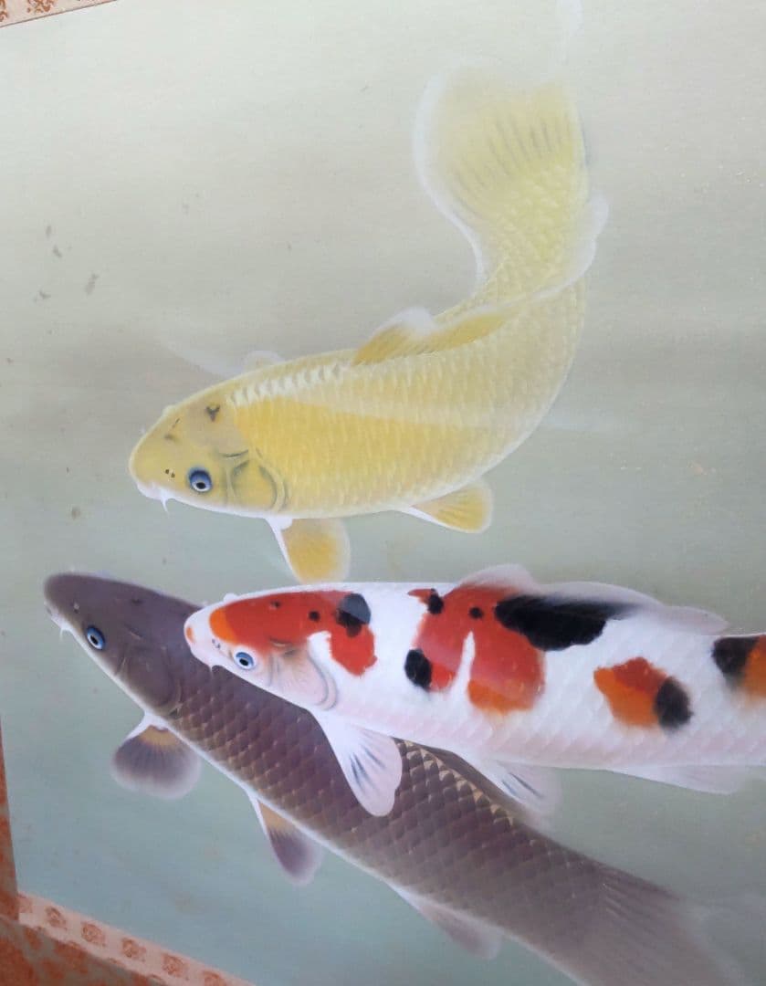 「遊鯉」太田龍一 掛軸 太巻き桐箱 二重箱入