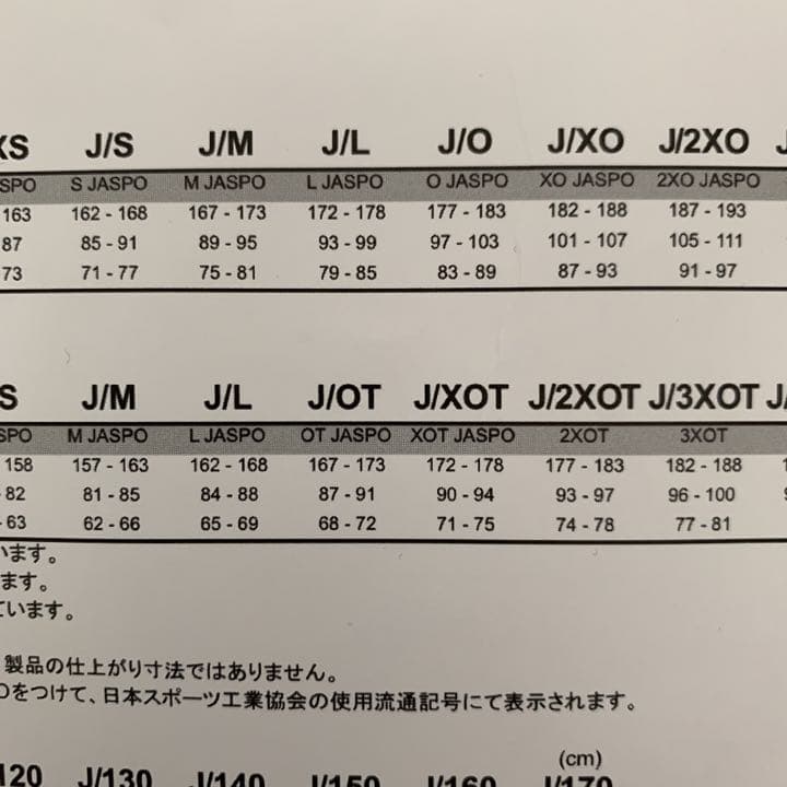 【希少】BiSH adidasコラボジャージ