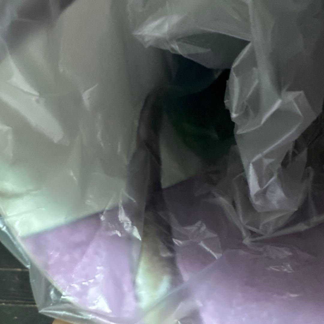 新品　未使用　最終値下げ　アニメ　ワンピース　ポスター　壁紙　仲間の印だ　トキワ