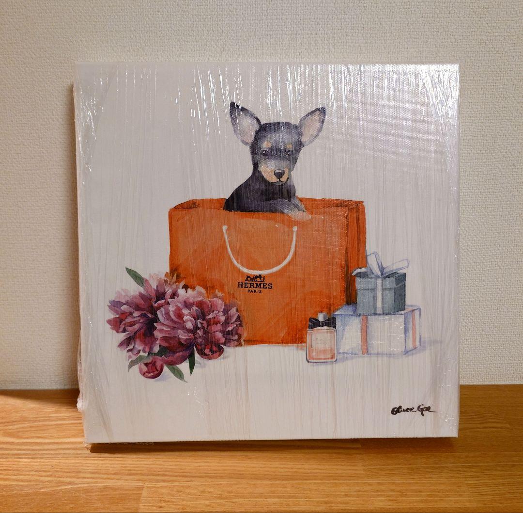 新品 オリバーガル ORANGE CHIC CHIHUAHUA