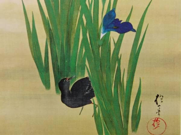 酒井抱一、菖蒲鷭図、超希少・大判画集画、新品高級額装付