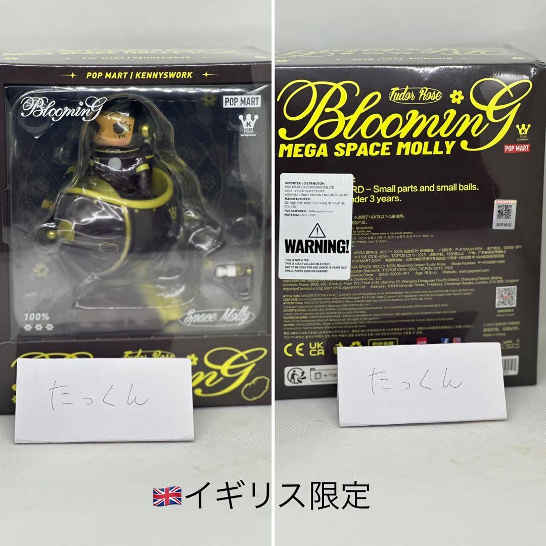 【海外限定】 molly 100% blooming 11種おまとめ フィギュア