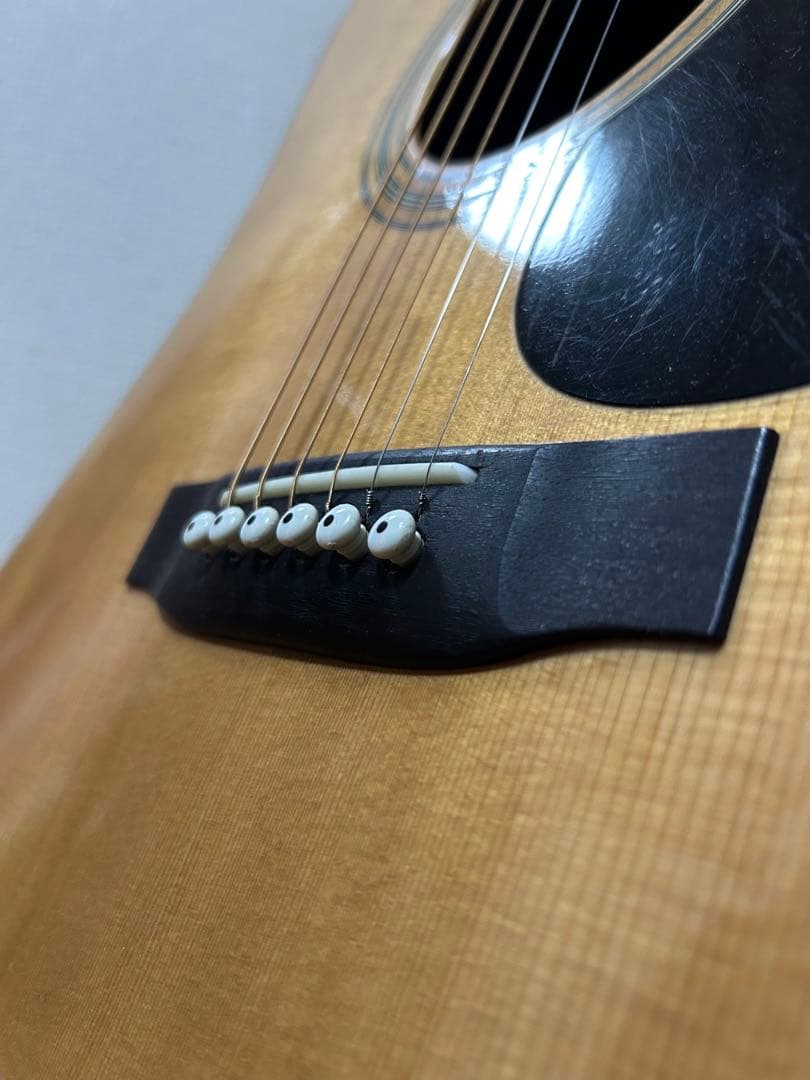 Cat's Eyes CE-500 大文字ロゴ　アコースティックギター